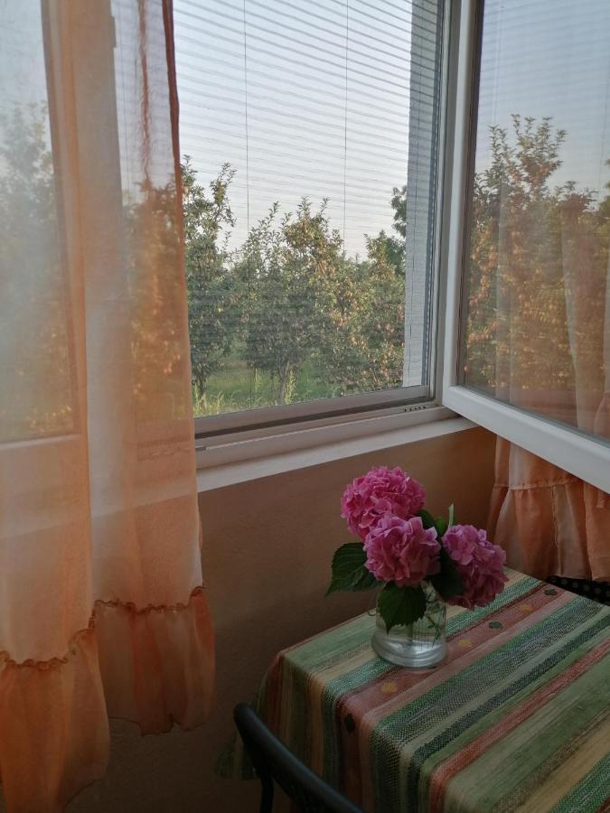 Villa Lila Dolno Dupeni Экстерьер фото